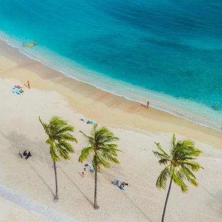 Beach_Zanzibar_3_free to use image