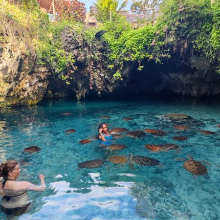 Swimming with Turtles at Nungwi Beach_Photos from Hamza_3