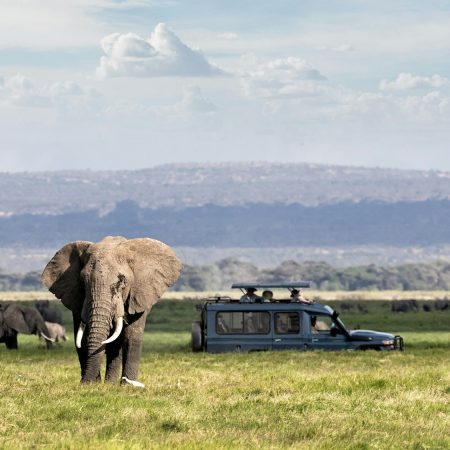 African Safari Adventure With Elephants and Vehicle