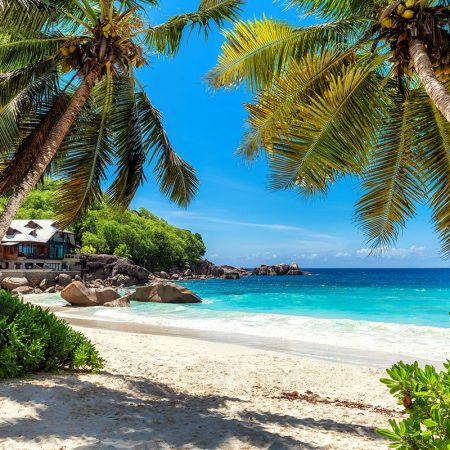 beach-palm-trees_zanzibar